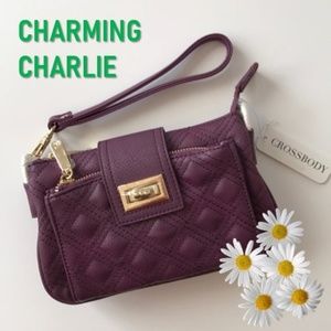 NWT CHARMING CHARLIE crossbody mini bag / clutch